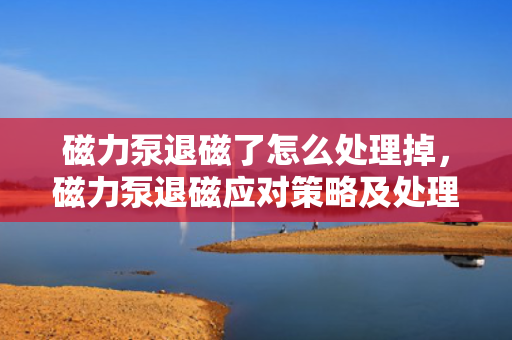 磁力泵退磁了怎么处理掉，磁力泵退磁应对策略及处理方法