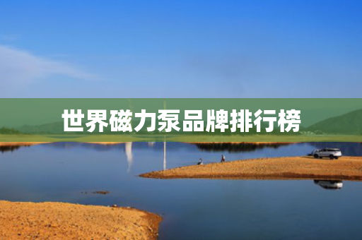 世界磁力泵品牌排行榜