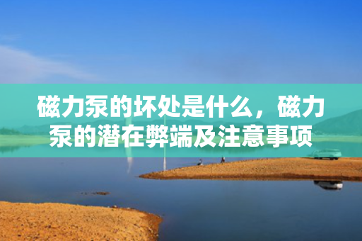 磁力泵的坏处是什么，磁力泵的潜在弊端及注意事项