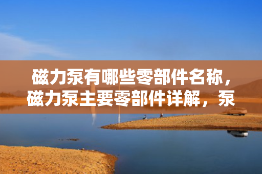 磁力泵有哪些零部件名称，磁力泵主要零部件详解，泵体、叶轮、磁力驱动等关键组成部分