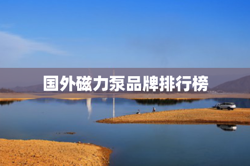国外磁力泵品牌排行榜
