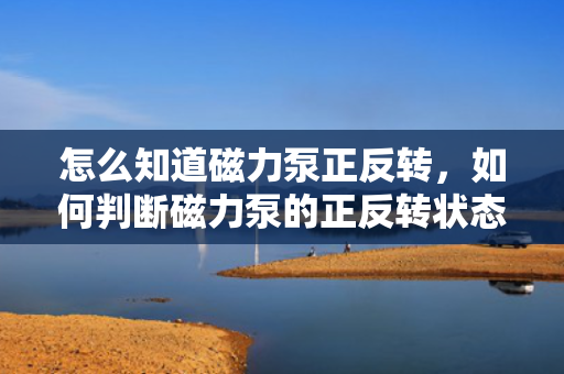 怎么知道磁力泵正反转，如何判断磁力泵的正反转状态