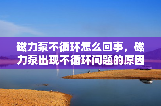 磁力泵不循环怎么回事，磁力泵出现不循环问题的原因及解决方法