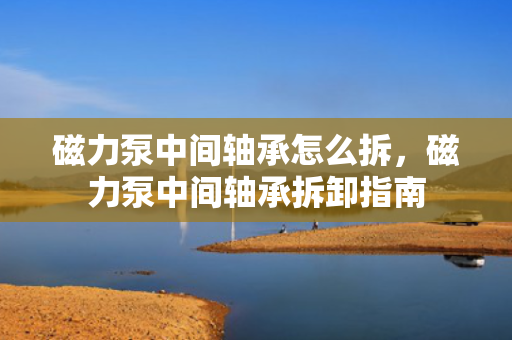磁力泵中间轴承怎么拆，磁力泵中间轴承拆卸指南