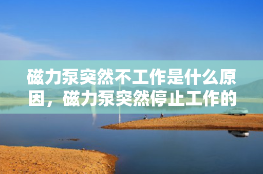 磁力泵突然不工作是什么原因，磁力泵突然停止工作的可能原因解析