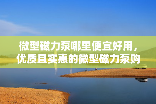微型磁力泵哪里便宜好用，优质且实惠的微型磁力泵购买指南，哪里便宜又好用？
