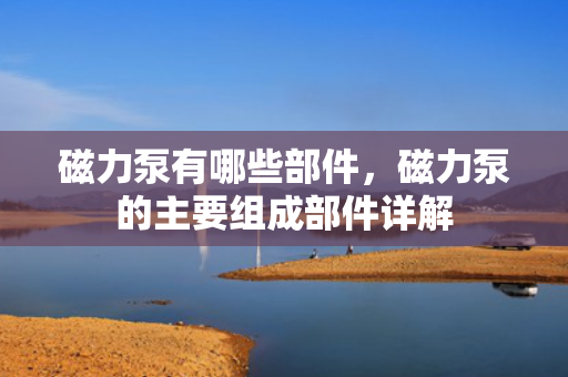 磁力泵有哪些部件，磁力泵的主要组成部件详解