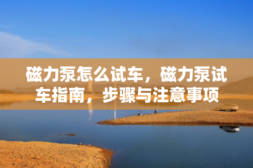 磁力泵怎么试车，磁力泵试车指南，步骤与注意事项