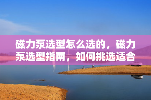 磁力泵选型怎么选的，磁力泵选型指南，如何挑选适合的磁力泵